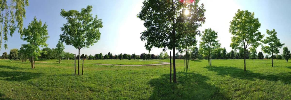 Cosa vedere a Monastier di Treviso: 6 cose da vedere